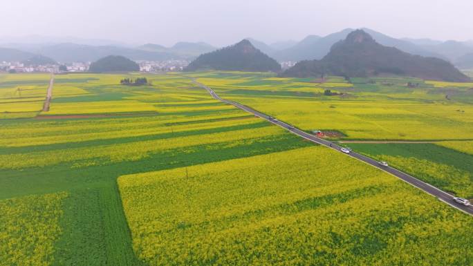 云南曲靖市罗平金鸡峰丛油菜花航拍合集