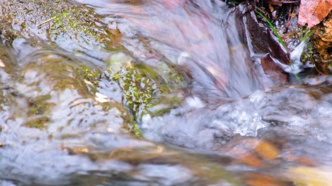植物园公园小溪流水水中倒影特写风景视频素