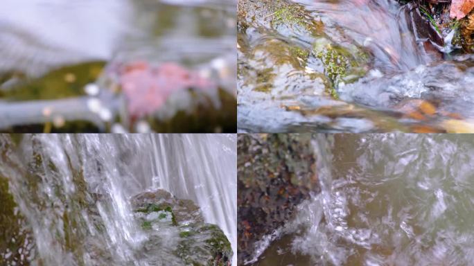 植物园公园小溪流水水中倒影特写风景视频素