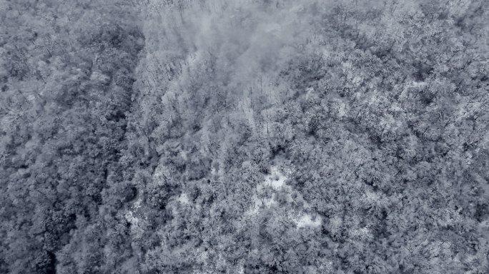 山野寒冬 山野大雪纷飞 冬天山林 严寒