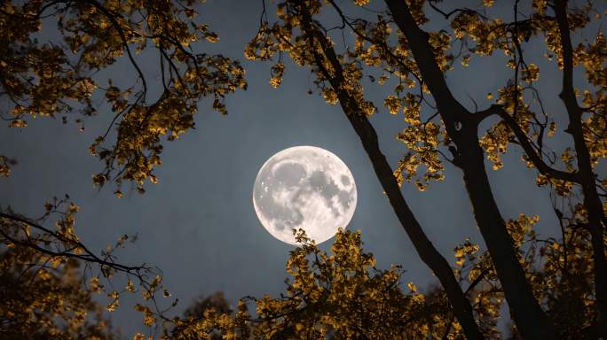 月亮空镜
