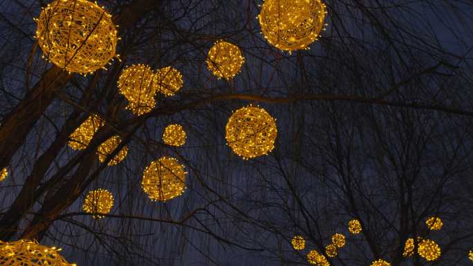 傍晚树上挂的金色彩灯 (17)