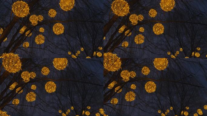 傍晚树上挂的金色彩灯 (17)