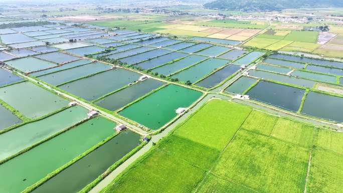 水产养殖格子田