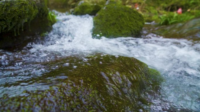 大山溪流 升格