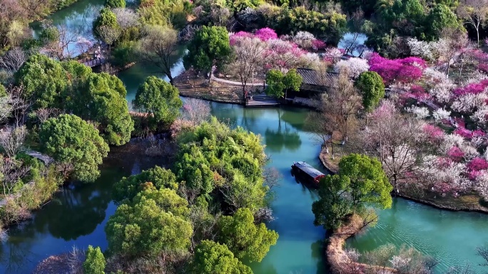 （合集）杭州西溪湿地梅花