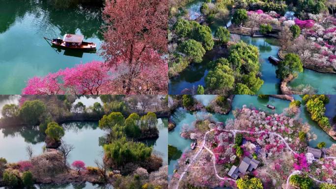 （合集）杭州西溪湿地梅花