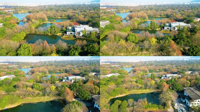 杭州西湖区西溪湿地自然风景视频素材400