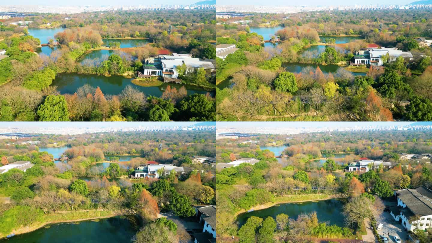 杭州西湖区西溪湿地自然风景视频素材400