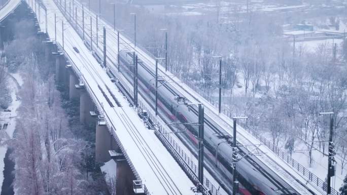 大雪 列车 武汉站 大雪2