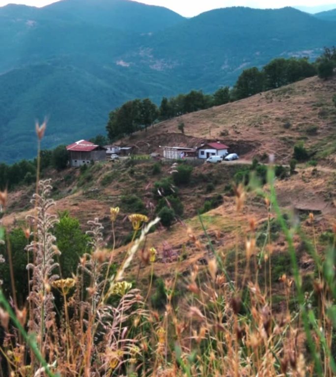 山中房屋的景色