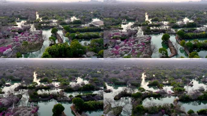 杭州西溪湿地梅花探梅节日落美景