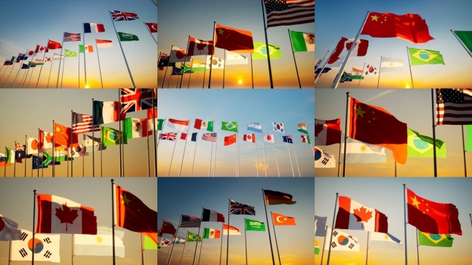 G20旗帜二十国集团旗帜世界各国国旗飘扬