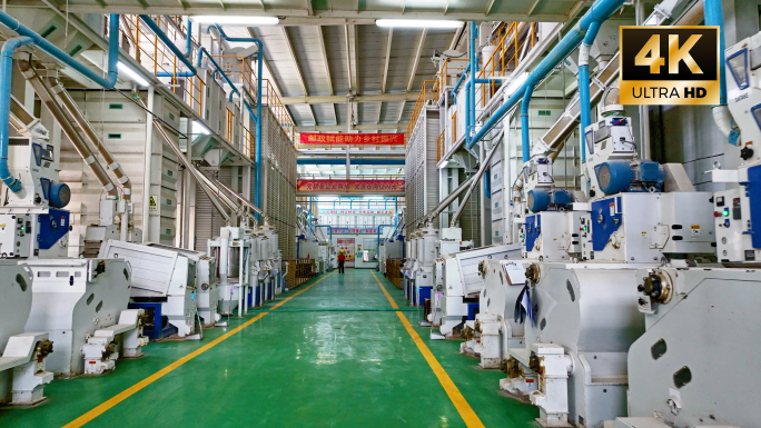 水稻加工大米安全生产现代化工厂