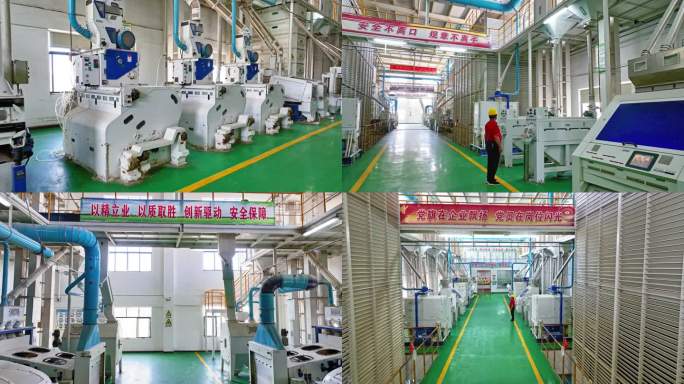水稻加工大米安全生产现代化工厂