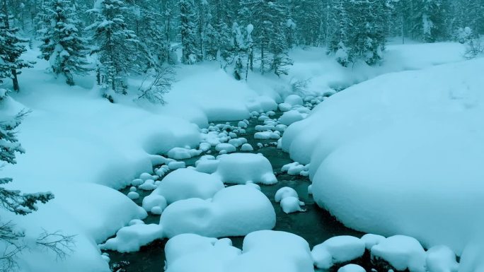 航拍无人机拍摄雪山河流冬季景观，暴风雪中的冷杉林。冬天的俄罗斯，西伯利亚。