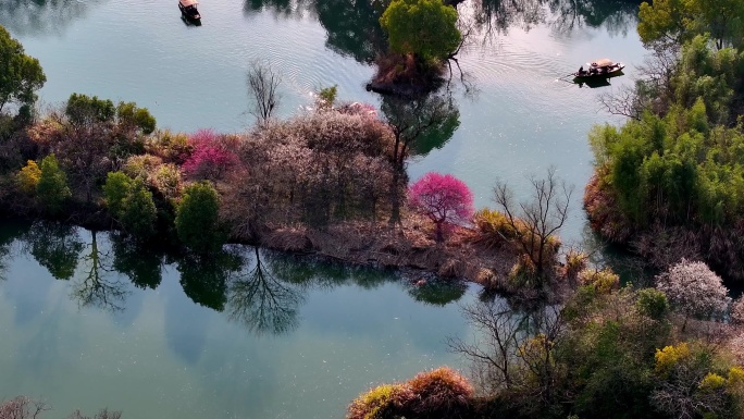 杭州西溪湿地梅花江南水乡小船惬意春游