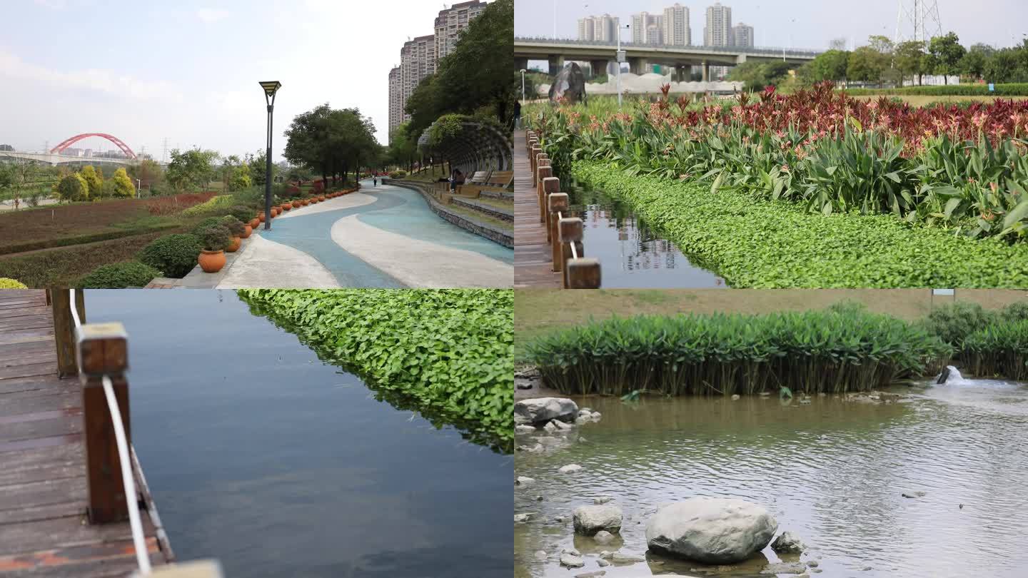 【4K】广西南宁那考河湿地公园生态空镜头
