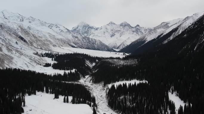 冬天的夏塔雪山