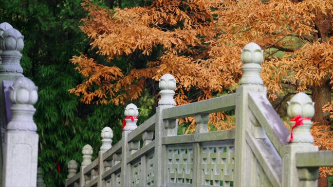 古建筑 意境 寺庙 写意 宫墙