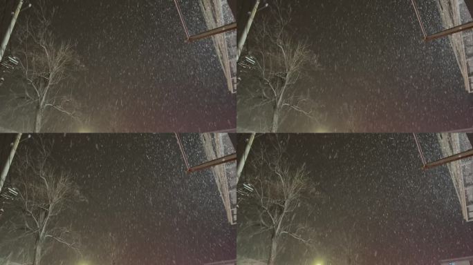 夜晚仰视楼房飘雪