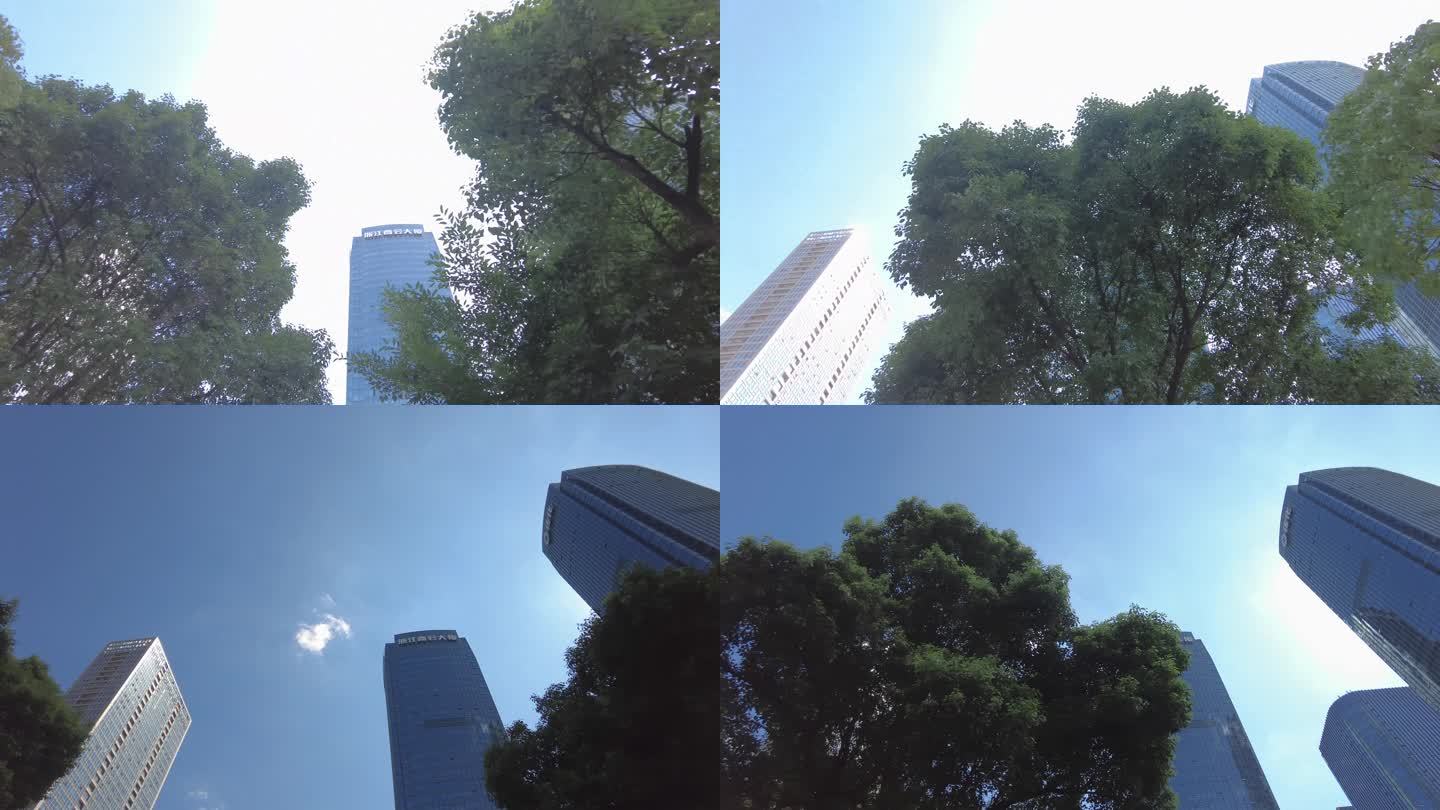 透过树枝叶仰视城市高楼大厦