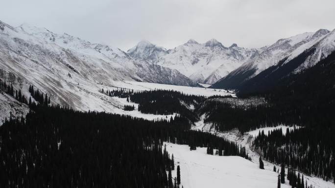 冬天的夏塔雪山