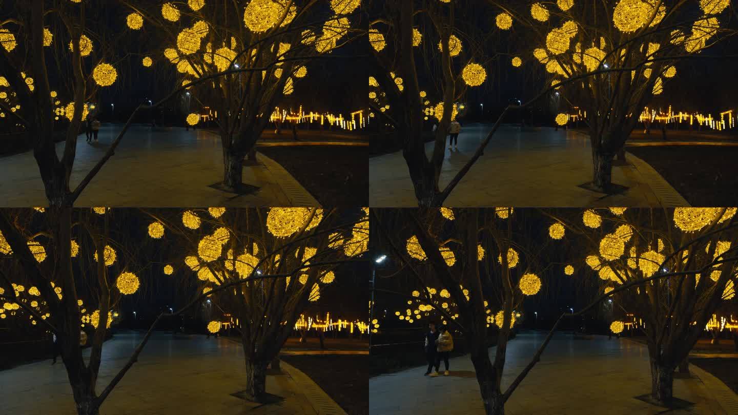 公园观赏金色彩灯的人们 (5)