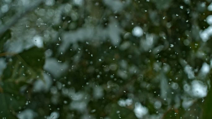 下雪升格雪花飘落慢镜头