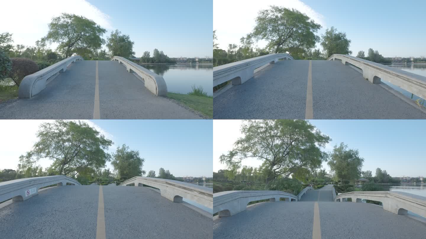 北湖公园 公园 蓝天 湖面 小桥