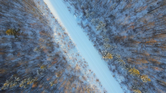 冰天雪地路面