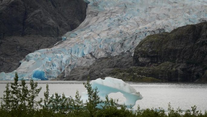 门登霍尔冰川，阿拉斯加门登霍尔湖上漂浮的冰
