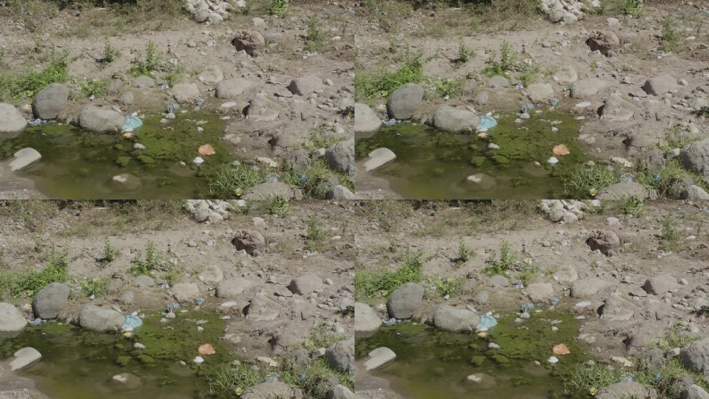 洪都拉斯El Paraíso省的河流池塘被塑料废物和绿藻污染。