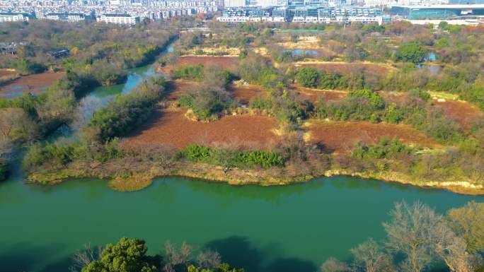 杭州西湖区西溪湿地风光风景视频素材