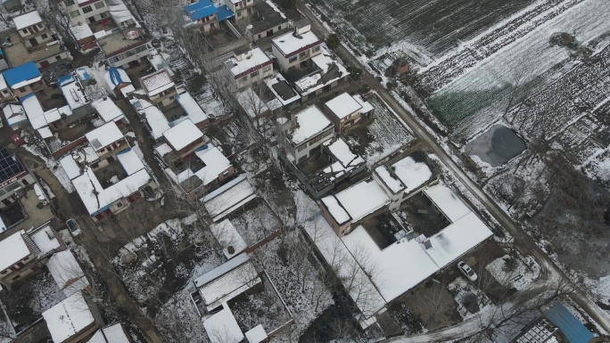 河南农村下雪后大风车田地麦地6