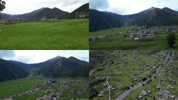 青稞藏寨