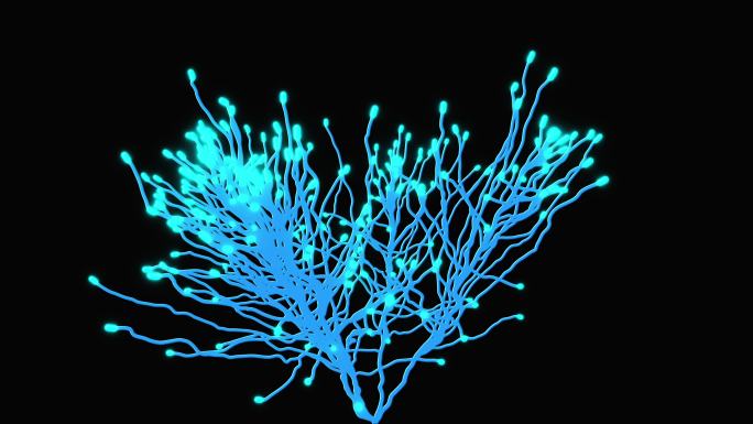 植物光效粒子生命树生长通道动画视频
