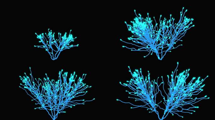 植物光效粒子生命树生长通道动画视频