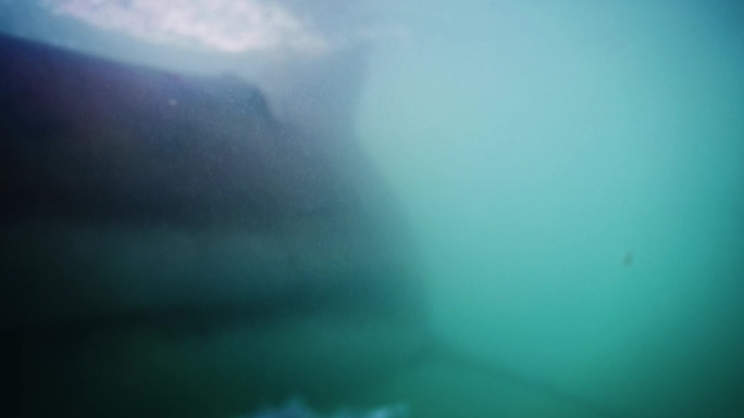 一条美丽的鲨鱼轮廓在柔和的海洋光线下滑行