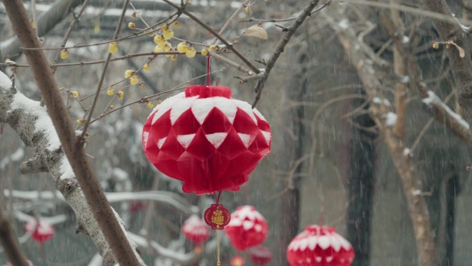 年味儿红灯笼腊梅白雪