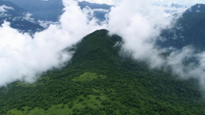 夏日九顶山航拍夏季雨后云雾缭绕大山森林