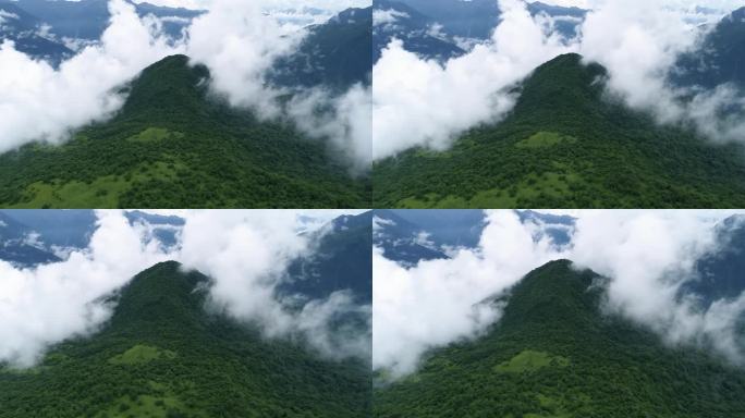 夏日九顶山航拍夏季雨后云雾缭绕大山森林