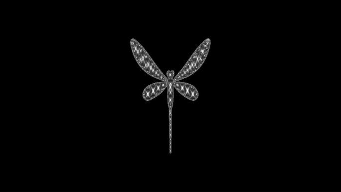 在普通黑色背景上飘扬的蜻蜓动画