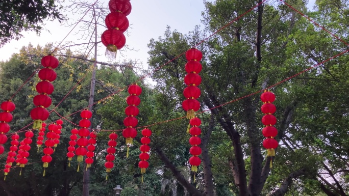 节庆氛围大红灯笼高高挂