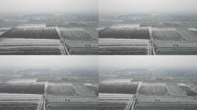 河南农村下雪后大风车田地麦地9
