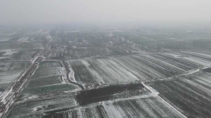 河南农村下雪后大风车田地麦地8