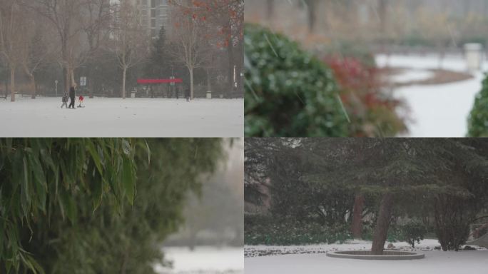 初雪 下雪 雪花 公园 郑州