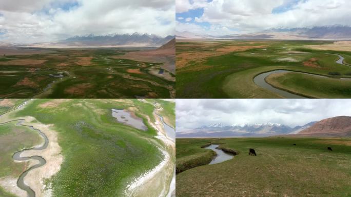 新疆喀什 南疆 塔合曼湿地
