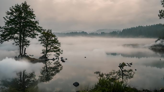 湖面上有薄雾飘过自然风光视频