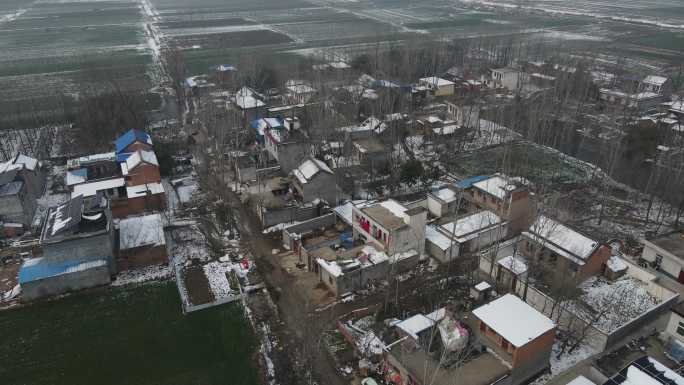 河南农村下雪后大风车田地麦地12